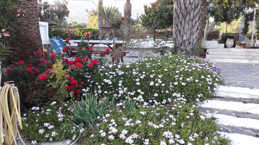 Oasis Apartments & Rooms Plakias Dış mekan fotoğraf